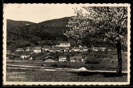 AK Montricher, Gesamtansicht des Ortes mit Baum im Vordergru