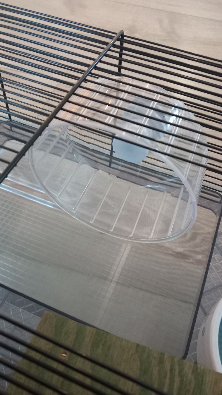 Gabbie, trasporto & Sicurezza: Hamsterkäfig mit Zubehör – Usato da Rorbas venduto da siramad 4