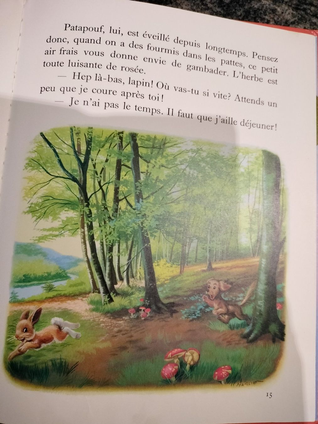 Libri: Martine fait du camping – Usato da Cortaillod venduto da rozinna 5
