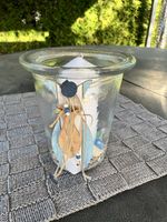 Glasi Hergiswil Stranddeko Kerze Maritim Gartendeko Muscheln