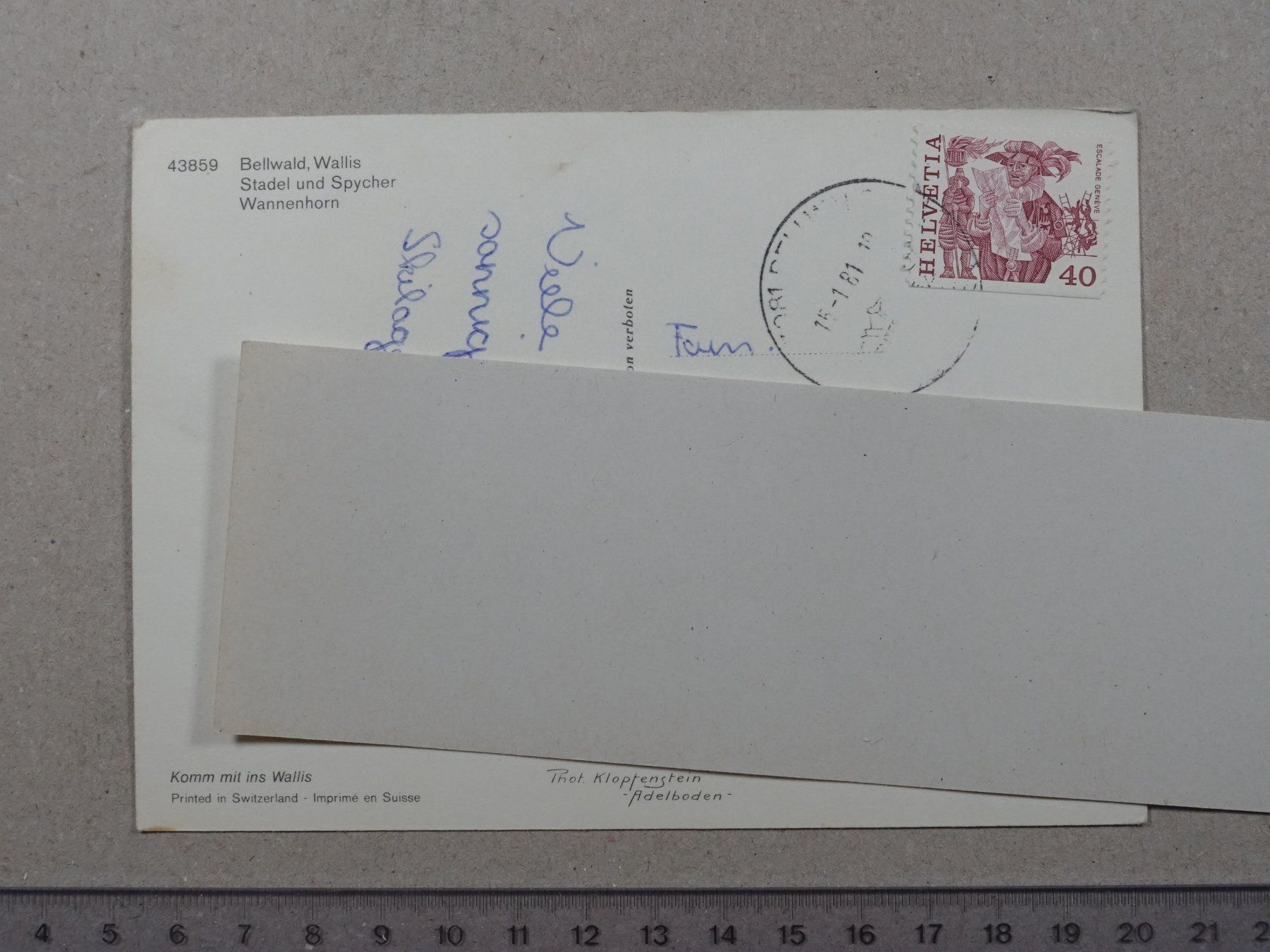 Cartes postales: Bellwald, Stadel, Spycher, 1981 – D'occasion à Lenzburg par fh1 1