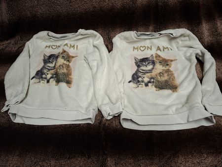 2x Gr.110/116 H&M Pullover Katzen Zwillingsmädchen 