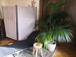 🤩2 STK: TRENNWAND BEIGE & SONNENLIEGE SCHWARZ