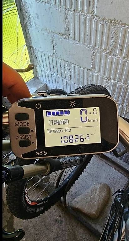 Biciclette: Flyer E Bike 25 km h  – Usato da Zug venduto da abv_9t5d 3