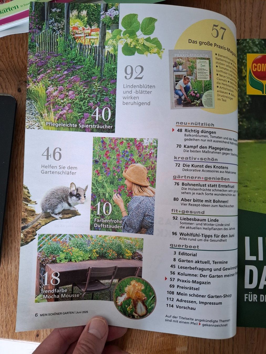 Zeitschriften & Magazine: Mein schöner Garten Juni & Juli 2025 – Neu (gemäss Beschreibung) aus Affoltern am Albis von Sabinezc 2