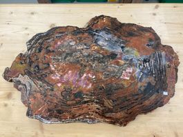 WUNDERSCHÖNE VERSTEINERTE  HOLZ - SCHEIBE  27,25 KILO