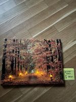 LED Leinwandbild Waldmotiv 40x30 cm