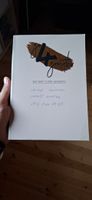 369 Tage für Wachstum Buch neuwertig