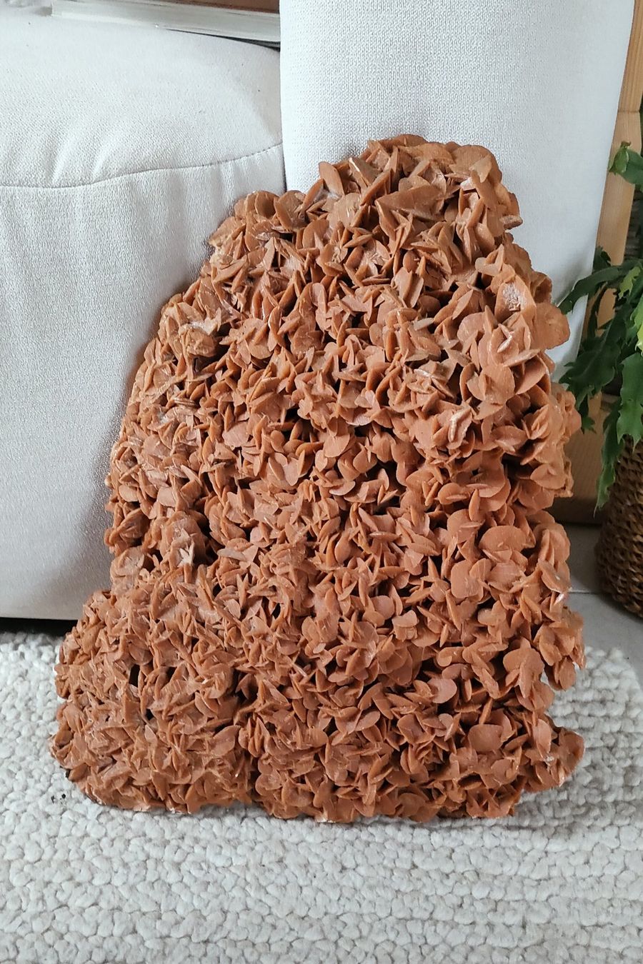 Fossili: Rose des Sables Wüstenrose 8.6kg – Usato da Riaz venduto da Tobydesmonts 3