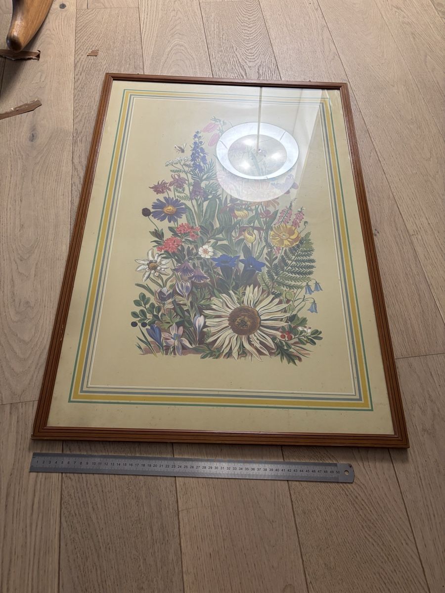 Dipinti: Tableau fleurs de Alpes rétro – Usato da Estavayer-le-Lac venduto da bde_mc5x 3