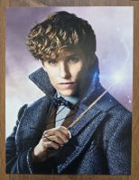 Eddie Redmayne – Fantastic Beasts Autogramm