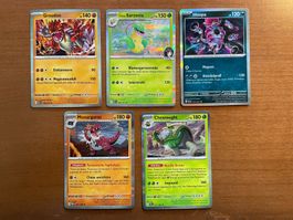 Pokemon Karten Set Holo (Versand gratis)