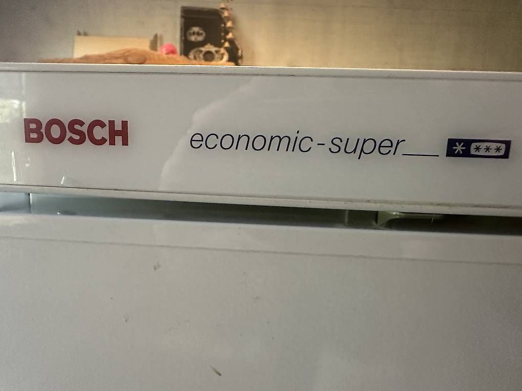 Bosch Congélateurs: Gefrierschrank Bosch – D'occasion à Teufen AR par Hero2025 3