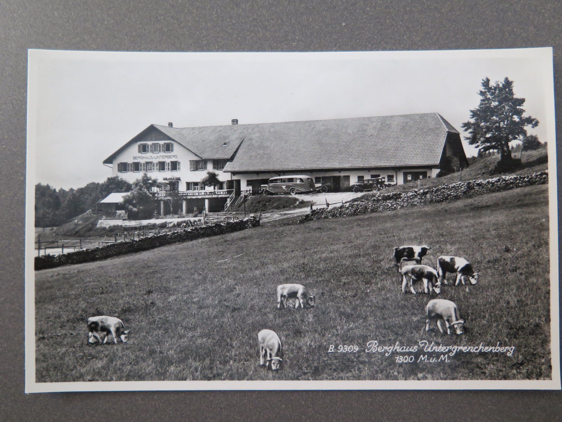 Cartoline postali: GRENCHEN - UNTERGRENCHENBERG - BERGHAUS UNTERGRENCHENBERG – Usato da Wittenbach venduto da lipasal