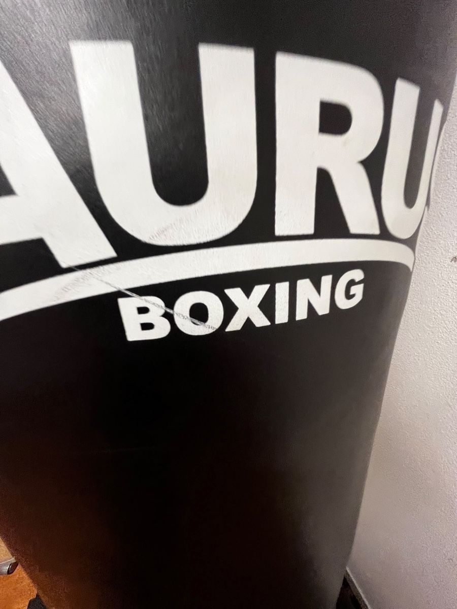 Sacchi da boxe: Boxsack Taurus- Freistehender Boxsack / Boxtrainer – Usato da Eglisau venduto da Trouvaillex 4