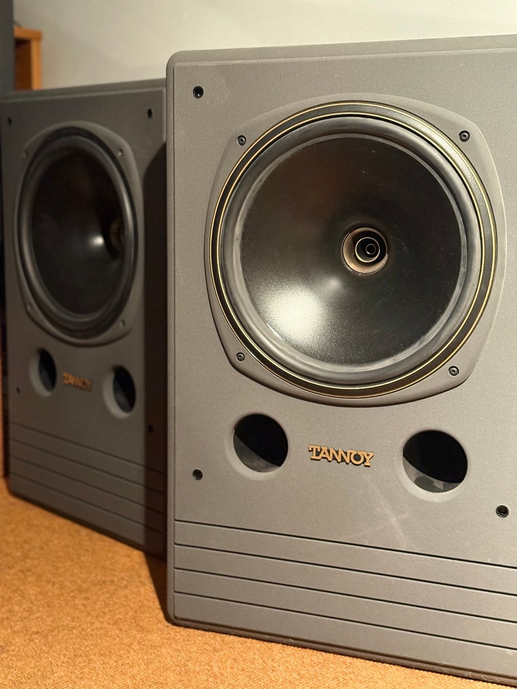 Tannoy Casse acustiche: Tannoy System 12 DMT – Usato da Wilchingen venduto da Pear20x