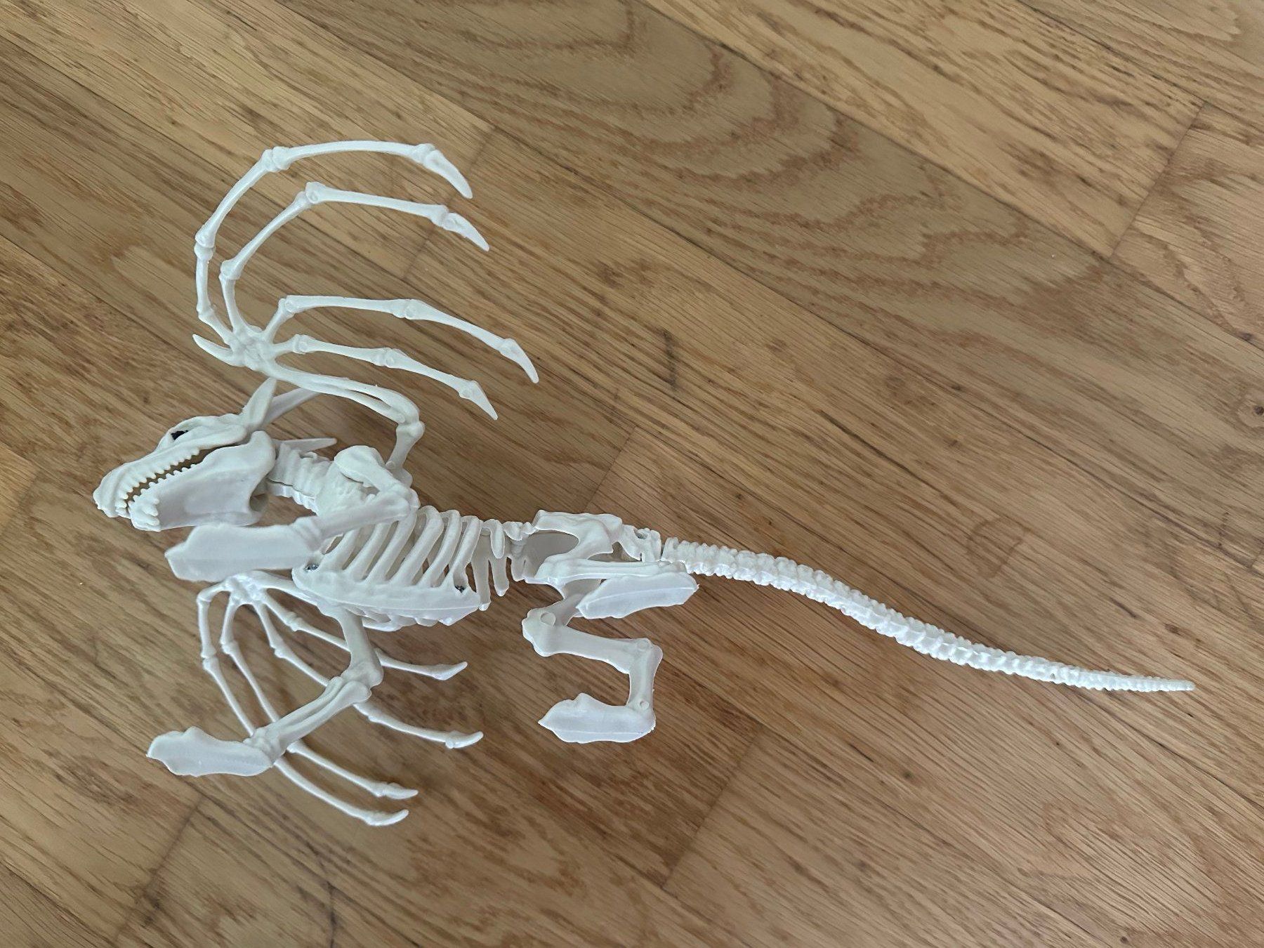 Statuette: Deko - Knochendrache / Fantasy – Usato da Möhlin venduto da Suissepac 2