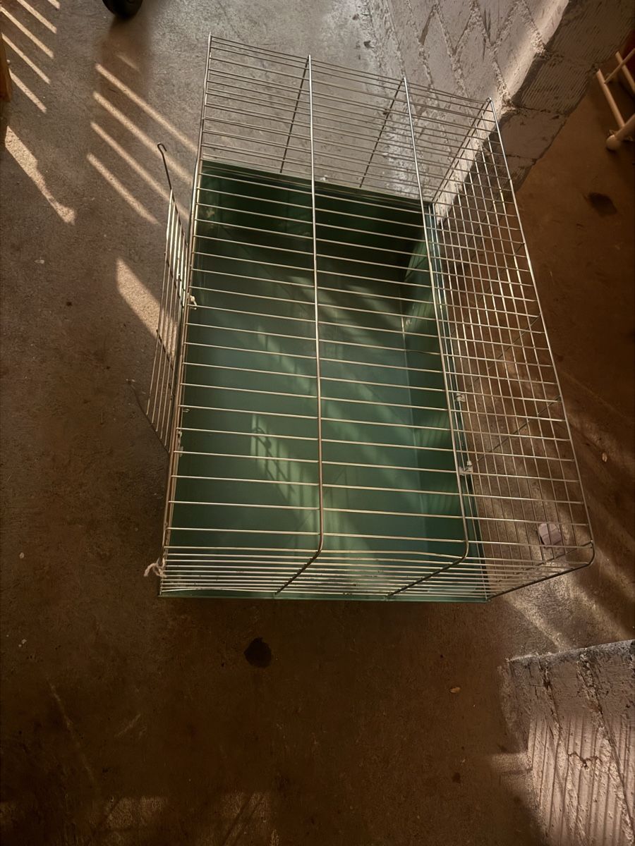 Gabbie, trasporto & Sicurezza: Vogel- oder Tierkäfig – Usato da Moosseedorf venduto da ram_c65w 3