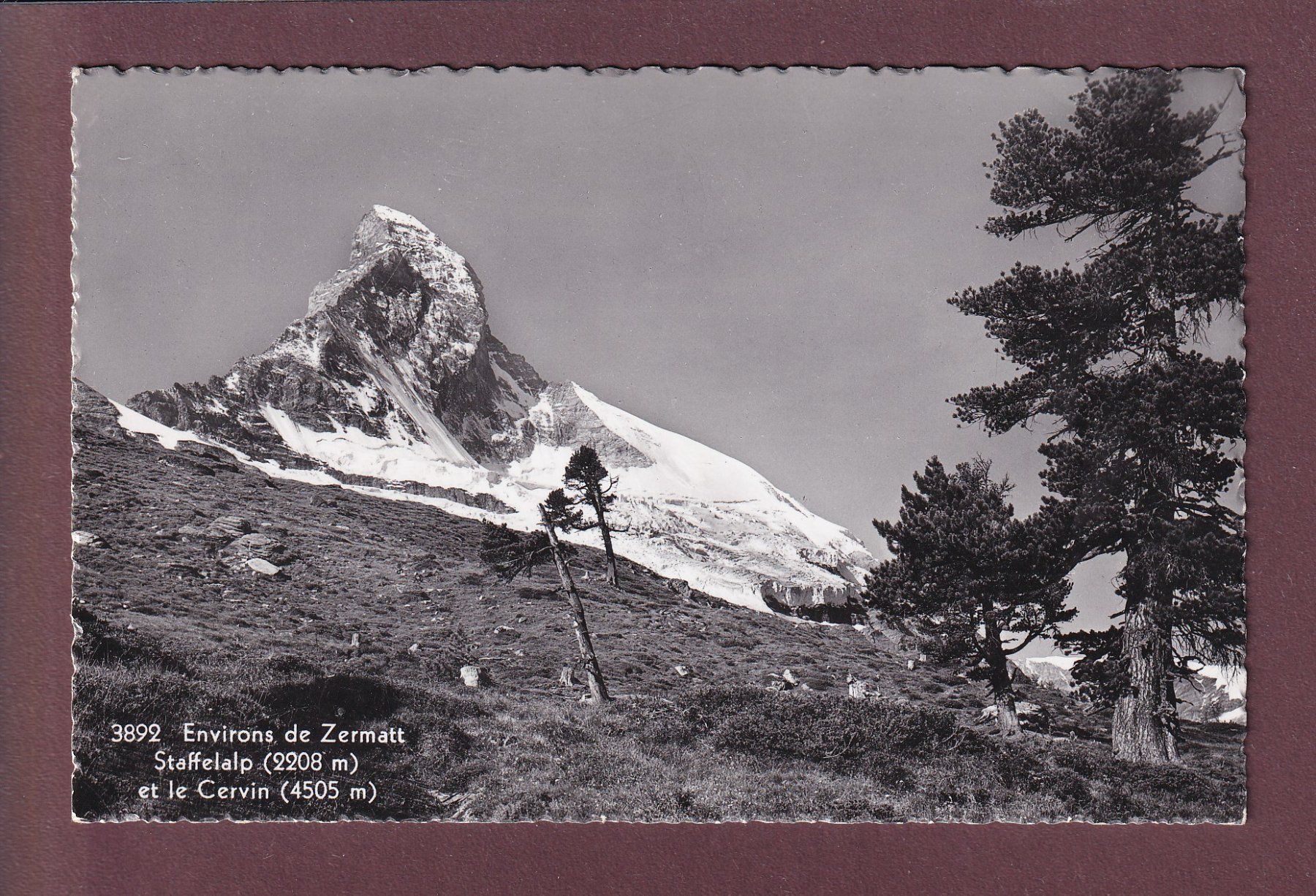 Ansichtskarten: Staffelalp - CERVIN – Gebraucht aus Pully von nicecards