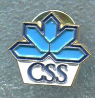 CSS  Logo
