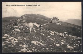 AK Chasseral, Hotel et Sommet, 1916