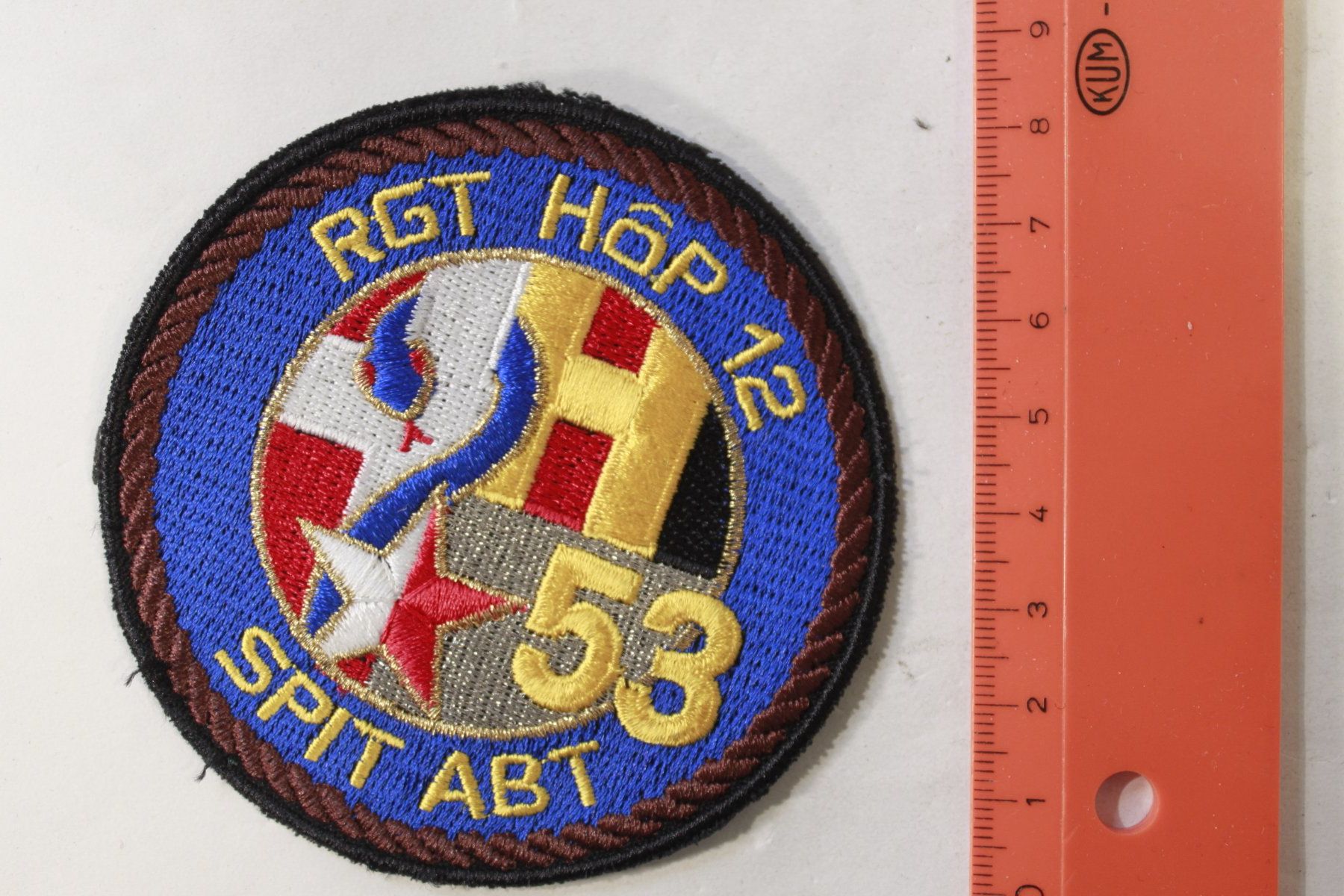 Armée suisse Plaquettes & Badges: RGT Hop 12 – D'occasion à La plaine par 762