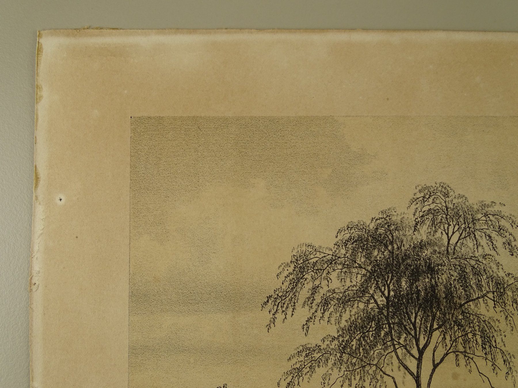 Incisioni: ZÜRICH, REGENSDORF, KATZENSEE, LITHOGRAPHIE VON E. LABHARDT – Usato da Grüningen venduto da Kartensammler 2