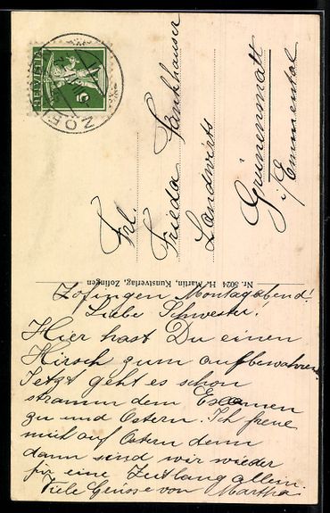 Cartoline postali: AK Zofingen, Hirschpark – Usato da Berlin venduto da bartko-reher 1