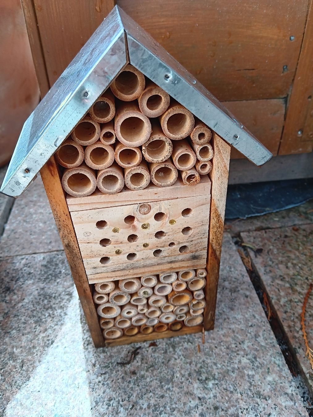 Bienenhäuser: Insektenhotel – Gebraucht aus Längenbühl von mam_8v6q