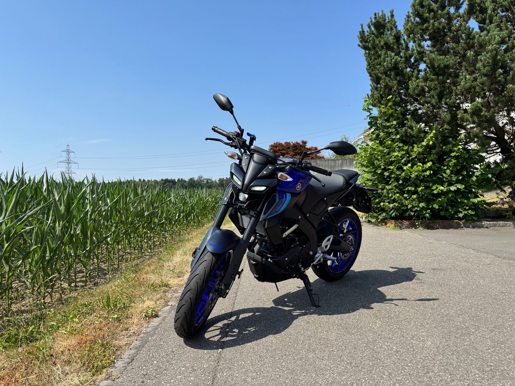 Yamaha Strada: Yamaha MT-125-A – Usato da Aeschi SO venduto da ThomasderEchte