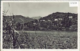 Muzzano - Panorama