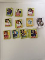 Panini WM 2026, mehr als 250 Sticker Konvolut