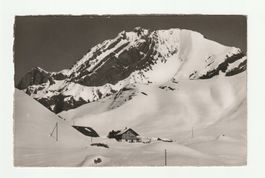 Ansichtskarte Adelboden Berghotel Engstligenalp Grosslohner