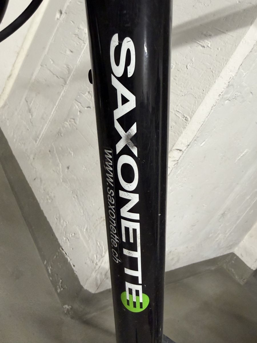 Saxonette Biciclette: Tolles Saxonette Elobike Light 2 – Usato da Nänikon venduto da Monschgal 7