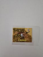 Panini FIFA World Cup sticker 2026 limited edition