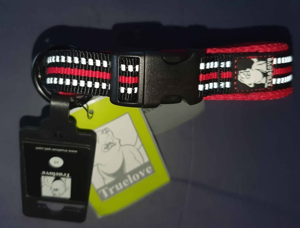 Guinzagli & Collari: Collier pour chien taille 40 - 45 cm , réfléchissant – Nuovo e nell'imballaggio originale da Sion venduto da Oonathoo 1