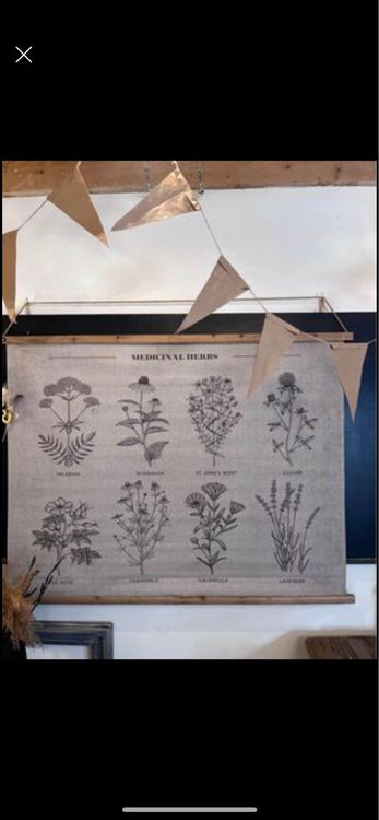 Bild Wandbild Leinwand mit Blumen Kräuter zum aufhängen 2