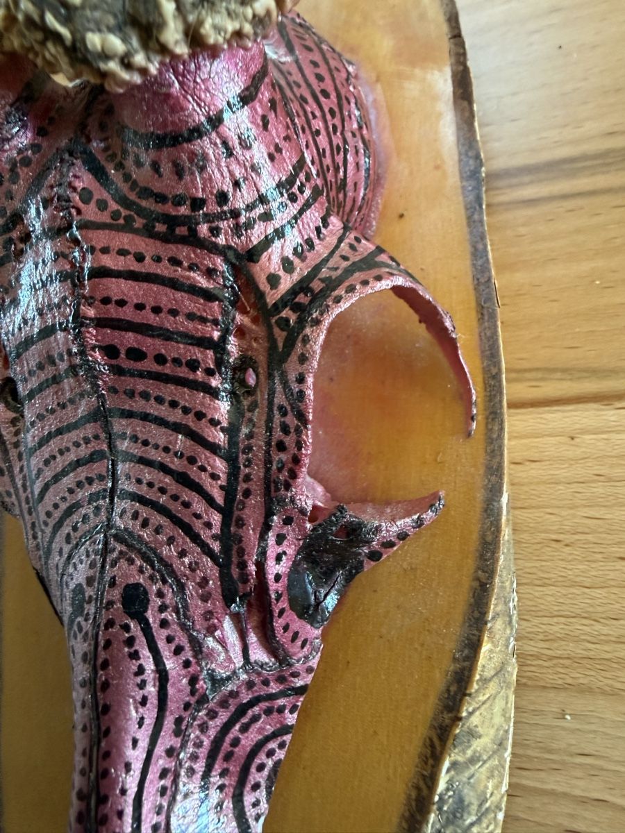 Tutte le decorazioni: Rehschädel handbemalt und Airbrush – Usato da Grenchen venduto da Bastet007 5