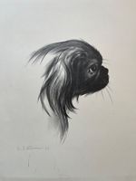 Lithografie von Walter Edmund Kässner 1933      (ID B5772)