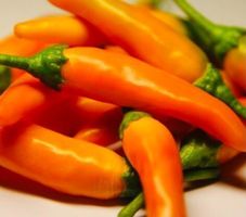 30 Samen SCHARFE Orange Chili 🌶 30 GRAINES ORANGE PIMENT‪