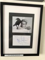 Tippi Hedren / Passepartout  / Autogramm!!
