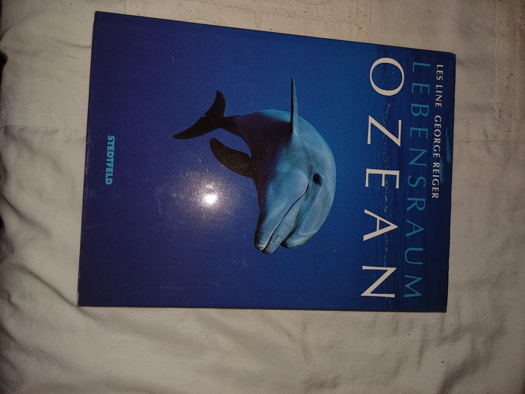 Libri: Bildband: Ozean – Usato da Zürich venduto da regaflo