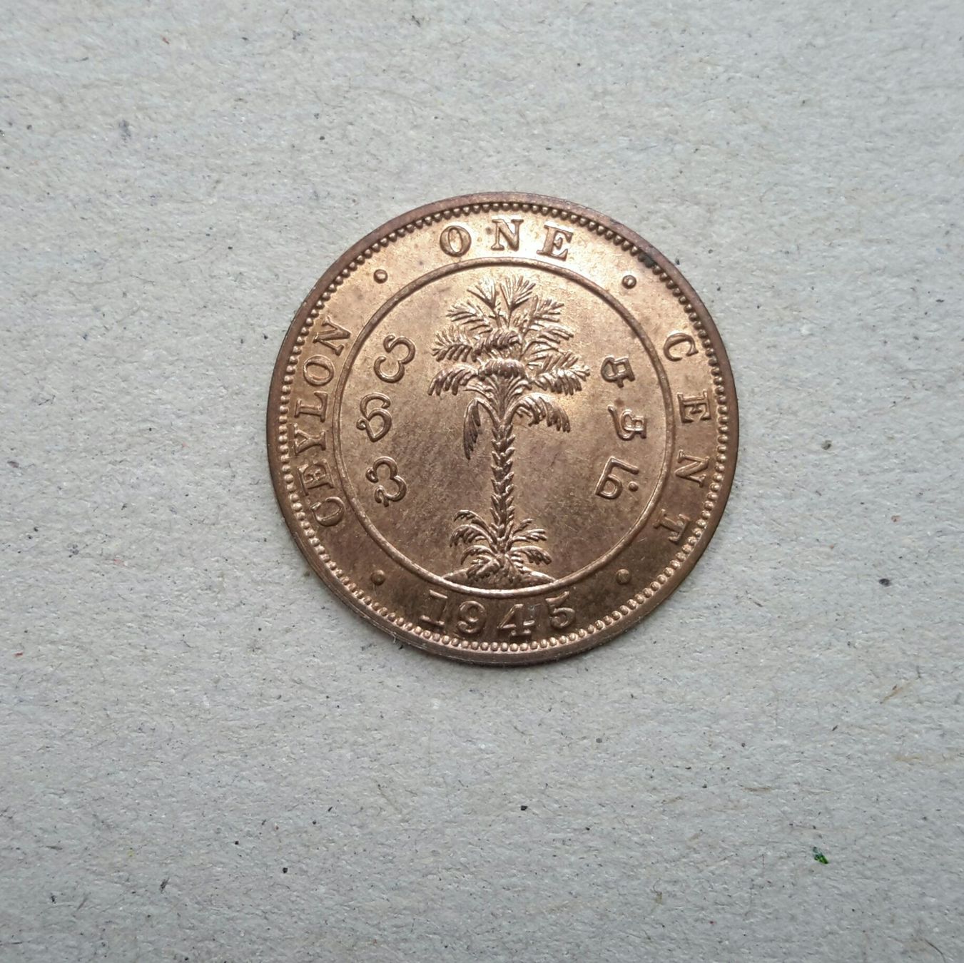 Tutti le monete: Ceylon , 1 Cent , 1945 , George VI. – Usato da Burgdorf venduto da Olli.34 1