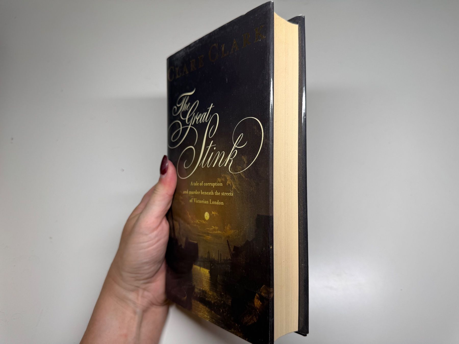 Libri: NOVEL: Clare Clark, The great stink – Usato da Grosswangen venduto da English_books 1