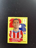 Panini PAR 5