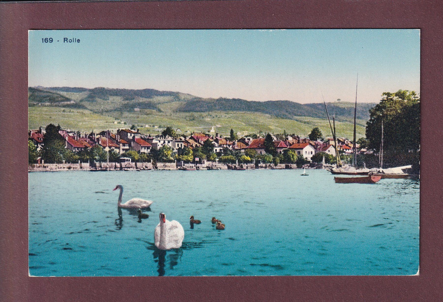 Cartoline postali: ROLLE - Cygnes – Usato da Pully venduto da nicecards