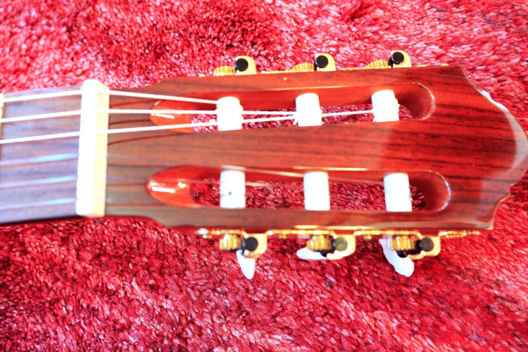 Strumenti ad arco e pizzico: Guitare classique Walden Concorda new – Nuovo e nell'imballaggio originale da Goumoens-la-Ville venduto da Vitamine 3