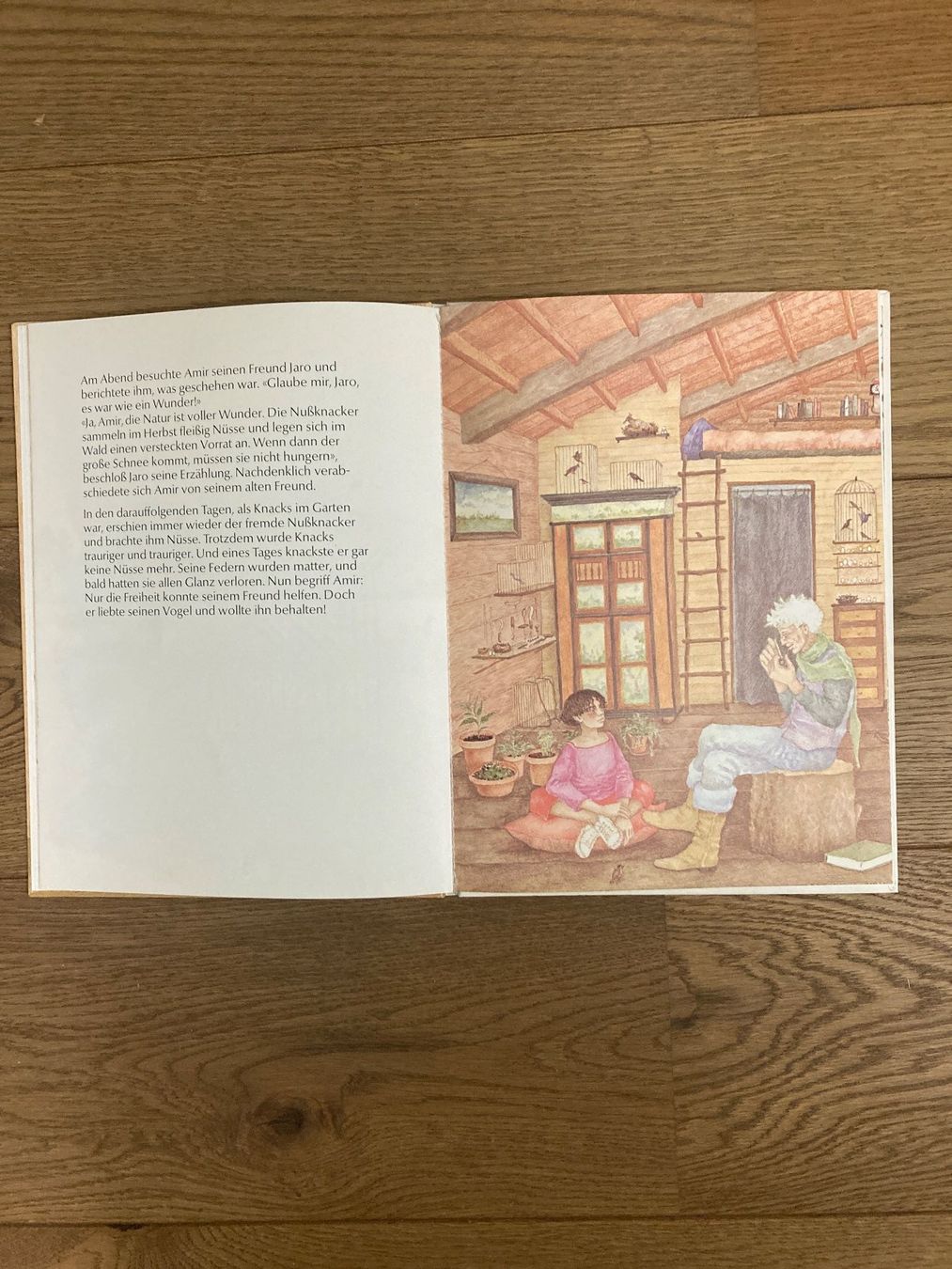 Bücher: Leb wohl kleiner Vogel (Bilderbuch) – Neu (gemäss Beschreibung) aus Zollikofen von gamel01 3