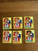 Panini 2026 Team Norwegen