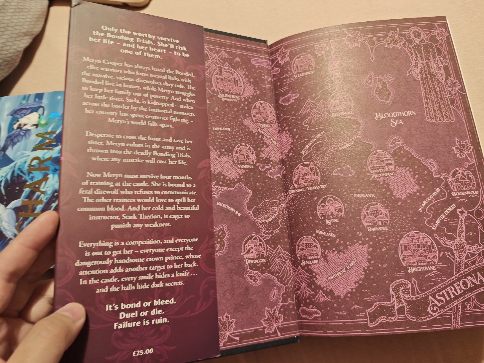 Bücher: Direbound International Special Edition – Neu (gemäss Beschreibung) aus Grandvaux von Freezemoon 1